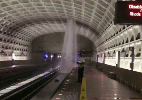 白宮都漏水了，你還能不重視防水！